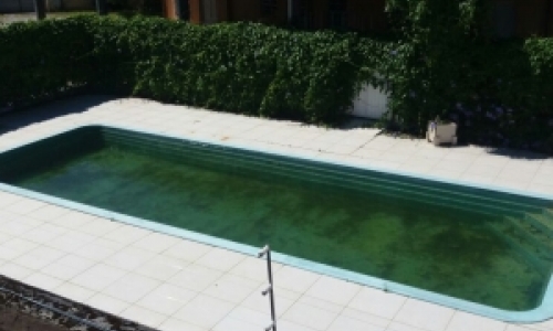 Denúncia: Piscina de clube tradicional é local de proliferação da dengue
