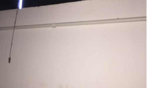 Petshop é invadido e dinheiro que estava escondido é furtado