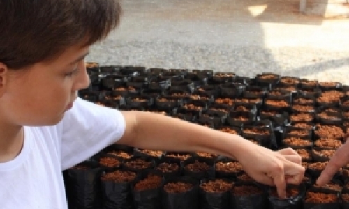 Espaço para cultivo de mudas nativas para reflorestamento é inaugurado