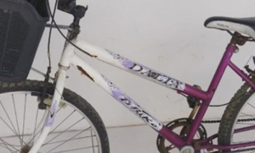 Bicicletas recuperadas pela polícia aguardam proprietários retirarem na delegacia