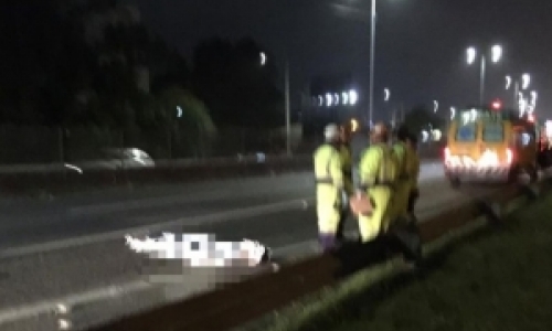 Pedestre morre ao ser atropelado por carro na BR-101
