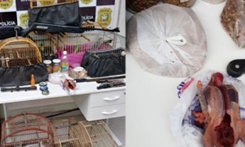 Caçador de aves silvestres exibia animais mortos nas redes sociais