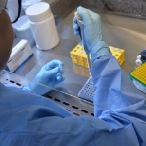 Idoso de 86 anos é o primeiro a morrer por coronavírus em SC