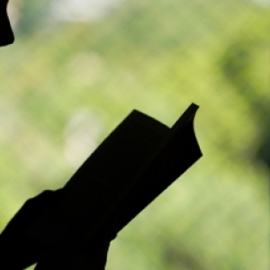 Governo de SC seleciona online professores Admitidos em Caráter Temporário