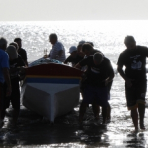 Novas medidas serão adotadas no período de Pesca da Tainha, saiba quais