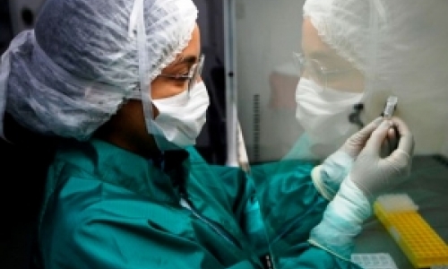 Em 24h, 14 novos casos confirmados de Covid-19 são diagnosticados no Vale do Rio Tijucas