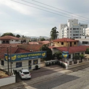 Clínica veterinária completa 8 anos com atendimentos personalizado