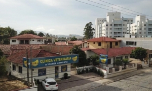 Clínica veterinária completa 8 anos com atendimentos personalizado