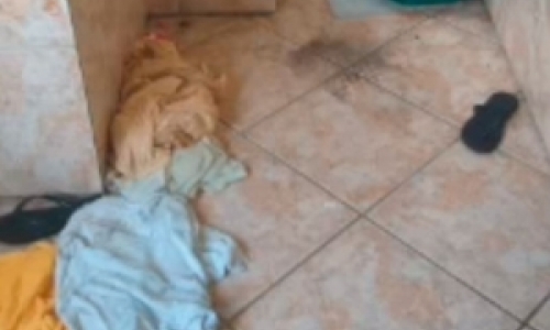 Homem é encontrado morto dentro de residência