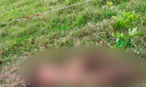 Corpo é encontrado com ferimentos e marcas de tentativa de ser carbonizado 