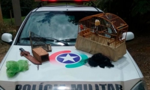 Rapaz é detido após denúncia de crime ambiental contra espécimes silvestres