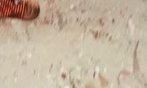 Briga em residência termina com um jovem morto ao ser esfaqueado