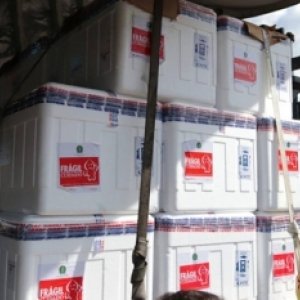 Saiba quantas doses da Coronavac chegarão aos municípios do Vale nos próximos dias