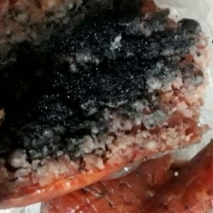 Pão recheado com chumbinho é jogado em residência para matar animal
