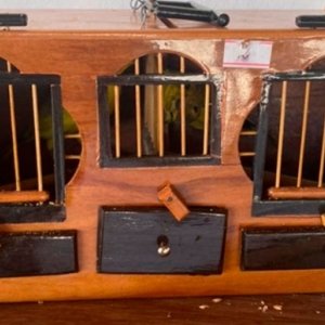Polícia encontra 28 canários presos em gaiolas com sinais de maus-tratos