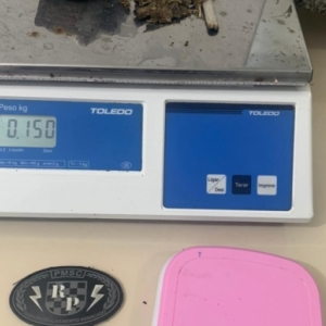 Casal é detido com drogas; eles faziam o tráfico em Canelinha