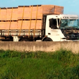 Caminhão atropela quatro cavalos e é atingido por dois veículos na BR-101
