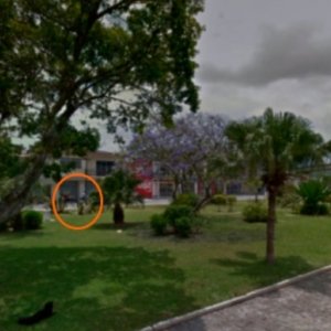 AGORA: Vizinho impede que criminosos furtem residência