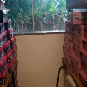 Loja tem prejuízo de mais de R$ 20 mil após ser alvo de criminosos
