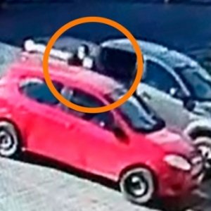 VÍDEO: Homem abre veículo e furta bolsa com dinheiro e outros pertences em Tijucas