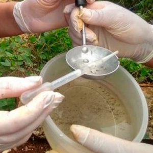 Aumento expressivo de focos de mosquito da dengue preocupam