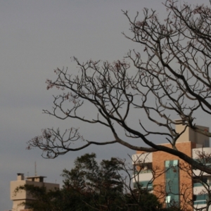 Passagem de frente fria traz mudanças no tempo e alertas para fortes rajadas de vento