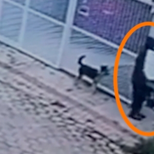 Dupla é flagrada por câmeras furtando porta de alumínio em fachada de casa