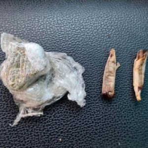 Assaltante foragido da Justiça é encontrado residindo na Região