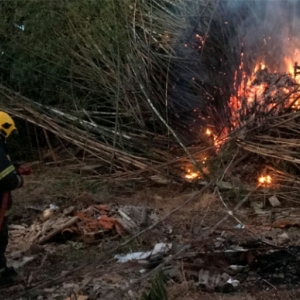 Incêndio em bambuzal assusta moradores de residência em Tijucas 