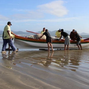 Tradicional pesca artesanal da Tainha exige a colaboração da população