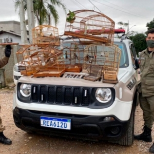 Animais Silvestres são resgatados de cativeiros clandestinos