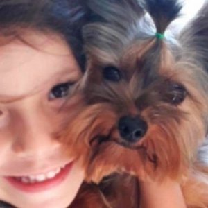 Menina chora e pede por animal de estimação desaparecido