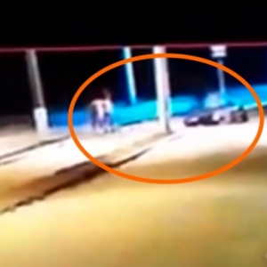 Cavalo solto em via pública provoca acidente e deixa motociclista ferido