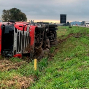 Carreta carregada com 16 toneladas de carne sai da pista e tomba na BR-101
