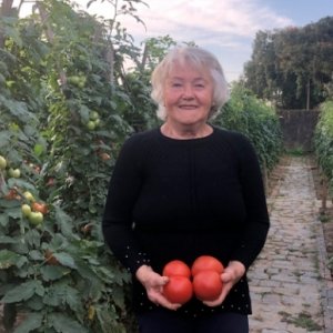 Professora aposentada se mantém ativa vendendo tomates e atendendo clientes