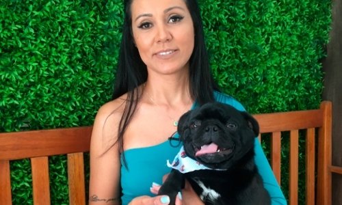 Sucesso do cinema, raça de cães é ótima para apartamentos e tem passado ligado à realeza