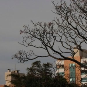 Final de semana terá calor, mas temperaturas voltam a cair nos próximos dias