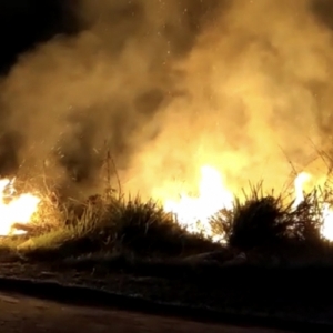 Área de vegetação é atingida por incêndio e assusta moradores 