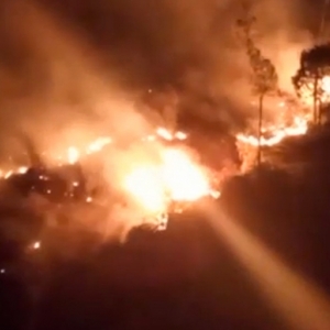 Incêndio de grandes proporções em vegetação mobiliza equipe de bombeiros