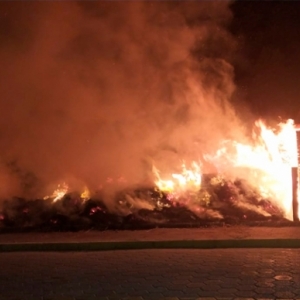 Incêndio em vegetação tem chamas com cinco metros de altura e assusta comunidade