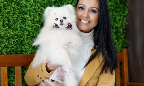 Raça de cães ficou famosa por ser a queridinha de Rainha; conheça o Spitz Alemão