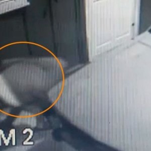 Câmera de segurança flagra criminoso tentando arrombar residência