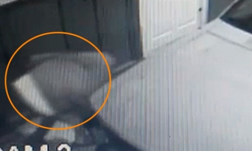 Câmera de segurança flagra criminoso tentando arrombar residência