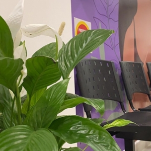 Vítimas de violência doméstica recebem espaço especializado para atendimento