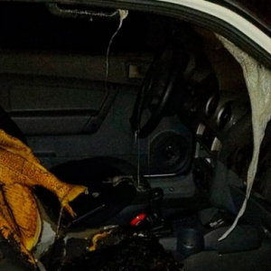 Veículo é abandonado em chamas em frente de casa; placas pertencem a carro roubado