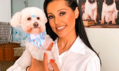 Inteligente, artista, atleta e super popular: conheça a raça de cães Poodle