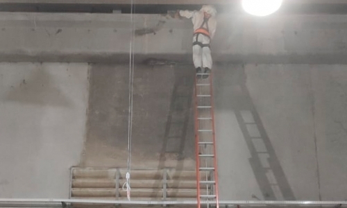 Colmeia de abelhas se forma em galpão e mobiliza equipe de bombeiros