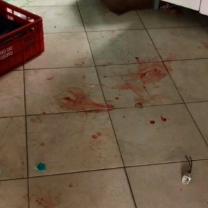 Vizinhos acordam com gritos e temem que mulheres se matem 