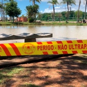 Moradores flagram jacaré em lago de bairro em Tijucas; local foi interditado