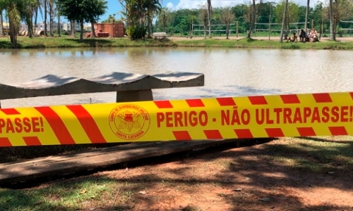 Moradores flagram jacaré em lago de bairro em Tijucas; local foi interditado